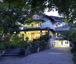 cho thue biet thu 2 mat tien duong nguyen van huong phuong thao dien quan 2  dt 697m2   gia  8000 12 000 