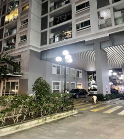 cho thue 2 can shophouse lien ke duong hoang hoa tham dt 210m2 va 180m2 1 lau gia 70tr th