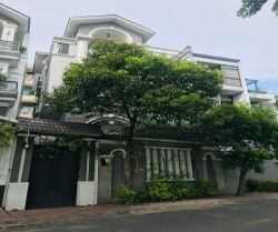 cho thue nha quan binh thanh 2 mat tien duong truong sa 10x16m tret   3 lau  gia  75 trieu