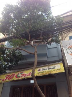 cho thue nha mat tien duong ngo tat to phuong 22  quan binh thanh gia 20 trieu thang