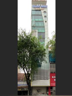 cho thue nha nguyen can duong ton that tung quan 1 ngang 4x21m 1 tret 8 lau gia 150trieu 