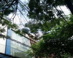 cho thue nha quan tan binhduong ly thuong kietgia   60 trieu