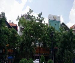 cho thue biet thu phan xich long biet thu quan phu nhuan 1 ham 1 tret 3 lau gia  8000 usd