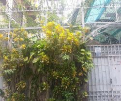 nha ban hxh phan dang luu p2 phu nhuan 6 7x18 5m 2 tang 16 ty