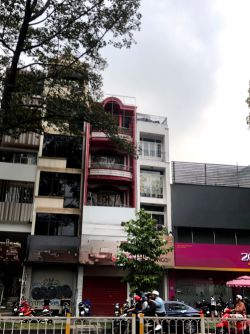 cho thue nha duong tran hung dao dt 43 x16m 1 tret 4 lau 90tr th