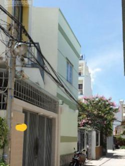 cho thue nha duong duong so 10 phuong cat lai quan 2 tphcm   4x16m 3 lau 17 tr thang