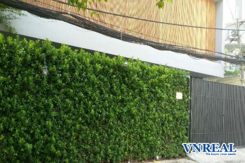 ban nha xe hoi ho bieu chanh p 11 phu nhuan  tphcm