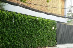 ban nha xe hoi ho bieu chanh p 11 phu nhuan  tphcm