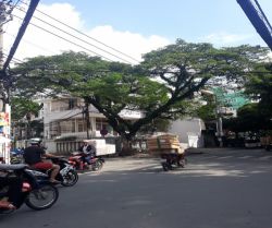 cho thue mat bang goc 2 mat tien duong cuu long 15x20 m2 145  trieu