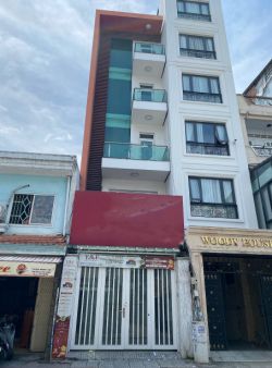 cho thue mat bang duong tran dinh xu quan 1 ngang 42x20m gia 80 trieu 