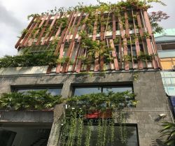 cho thue nha mat tien vo thi sau  p tan dinh  7 x 17m 4 lau q1 160 trieu