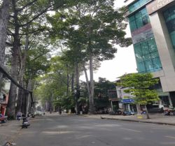 cho thue nha suong nguyet anh 14 2mx28m  t2l  gia 30 000 