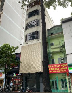 cho thue nha nguyen can duong bui thi xuan quan 1 ngang 4 2x17m 1 tret 5 lau gia 105trieu 