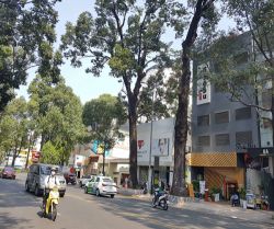 cho thue mat bang pham ngoc thach 9mx28m  ht4l  gia 25 000 