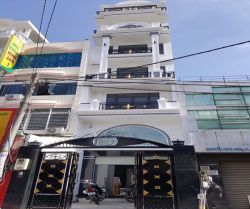 ban nha quan binh thanh duong nguyen van dau 41x23m 6 tang gia 208 ty 