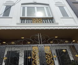 ban nha hxh truong quoc dung p10 phu nhuan 36x10mm 1 lung 2 lau  72 ty