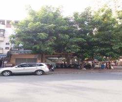 cho thue nha quan 2 mat tien vu tong phan an phu q2 dt 5x20m 01 tret 03 lau gia 65tr th huong dong nam