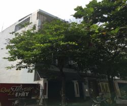 cho thue nha  khu van phong an phu duong so 19 dt  4x13 gia  37tr thang