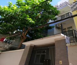 cho thue nha hem duong nguyen dinh chinh 6x15 m2 3 lau 32 trieu