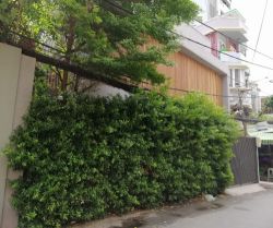 cho thue nha mat tien duong ho bieu chanh 12x17 m2 1 lau 120 trieu