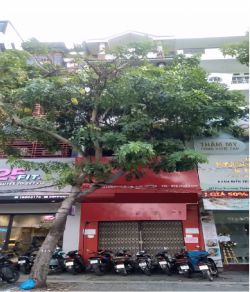 cho thue nha quan phu nhuan duong mat tien 3 lau 10 phong dien tich 4x16 gia 65tr th