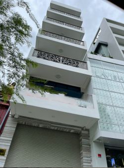 cho thue nha nguyen can duong nam ky khoi nghia quan 1 ngang 48x19m tret 6 lau gia 8000 usd th 