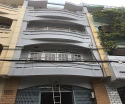 cho thue nha quan 1 nha cho thue mat tien duong tran nhat duat p  tan dinh quan 1