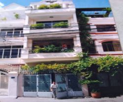 ban nha mat tien trung tam quan binh thanh  duong dinh bo linh  dt  45 x 18m  gia 14 ty