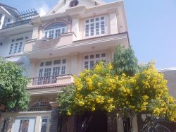 cho thue biet thu quan phu nhuan biet thu cho thue duong cu lao  dien tich  8x16m  1 ham 3 tang