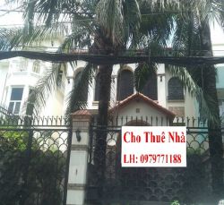 cho thue nha biet thu quan phu nhuan