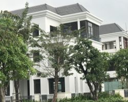 cho thue biet thu vinhomes central park