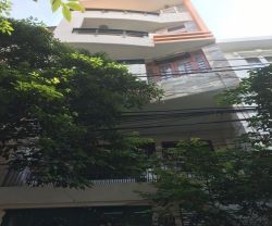 cho thue nha quan tan binh nha cho thue hem duong nguyen minh hoang phuong 12 quan tan binh 