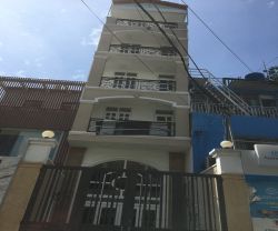 cho thue nha quan 1 nha cho thue mat tien duong tran khanh du p  tan dinh quan 1