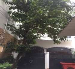 cho thue nha quan 1  hem xe hoi duong nguyen dinh chieu p  da kao quan 1