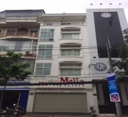 cho thue nha quan 1 mat tien duong nguyen dinh chieu p  da kao quan 1