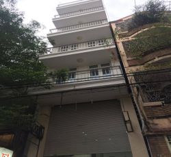 cho thue nha quan 1 mat tien duong phan ke binh p  da kao quan 1