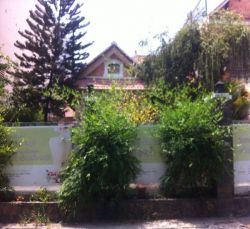 cho thue nha quan 1 nha cho thue mat tien duong tran khanh du  phuong tan dinh quan 1 