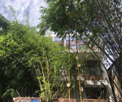 ban sieu biet thu hxh binh gia p 13 q  tan binh dt 11x26 4m 1t 3l st gia 30 ty tl