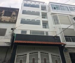 cho thue nha quan 10 nha cho thue mat tien duong ba vi khu bac hai phuong 15 quan 10 