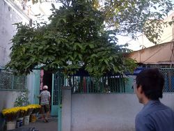 ban nha mat tien duong dang minh tru phuong 10 quan tan binh