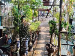 cho thue mat bang duong pham van dong dien tich 20mx25m gia 25tr th