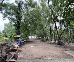 cho thue dat trong 2 mat tien duong binh quoi dien tich 6000m2 gia 180tr th