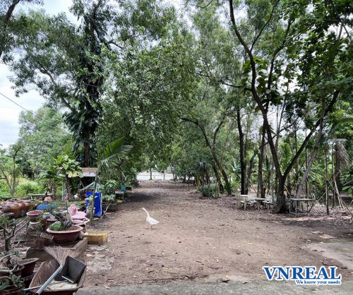 cho thue dat trong 2 mat tien duong binh quoi dien tich 6000m2 gia 180tr th