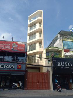 cho thue toa nha duong le quanh dinh dien tich 42mx23m 1 ham 4 lau san thuonggia 75tr th