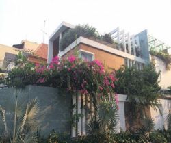 cho thue nha quan 2 mat tien duong so  37p  an phu dt  8x20m 1lau gia 40 trieu 