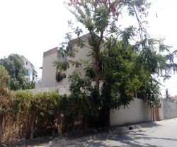 cho thue nha quan 2 mat tien duong nguyen u di 20 45 1 lau