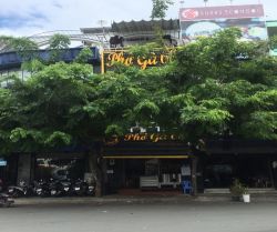 cho thue nha nguyen can duong hoa lan phuong 2 quan phu nhuan tp hcm 