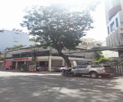 cho thue nha quan tan binh nha cho thue duong hoang viet dien tich  20x20m  1 tret 1 lau gia 90tr thang 