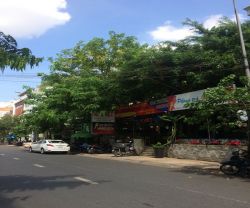 cho thue nha mat tien duong huynh lan khanh phuong 2 quan tan binh dt 14 x 26m  1 ham 1 tret 1 lau  gia 70 trieu