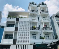 cho thue nha mat tien nguyen van dau 12x22m 4 tang gia 120 trieu